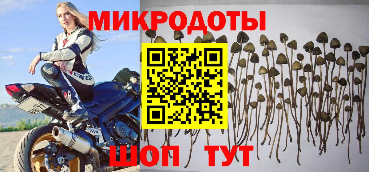 Псилоцибиновые грибы мицелий  Вход с VPN  Владикавказ 