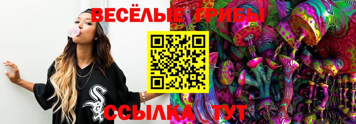 Галлюциногенные грибы Magic Shrooms Владикавказ